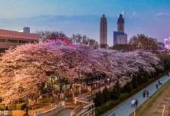 吃瓜抖音网红西昌